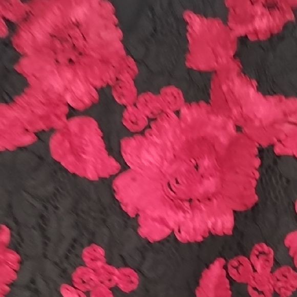 Express Red and Black Lace Floral Bodysuit - Picture 3 of 15